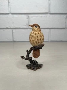 Bowbrook Studios Song Thrush Wren Resin Bird On Bronze Copper Cast Branch Perch - Picture 1 of 9