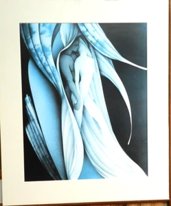 Rare Marci McDonald, Limited Edition, LITHOGRAPH, Numbered 441/500, HAND Signed - Picture 1 of 9