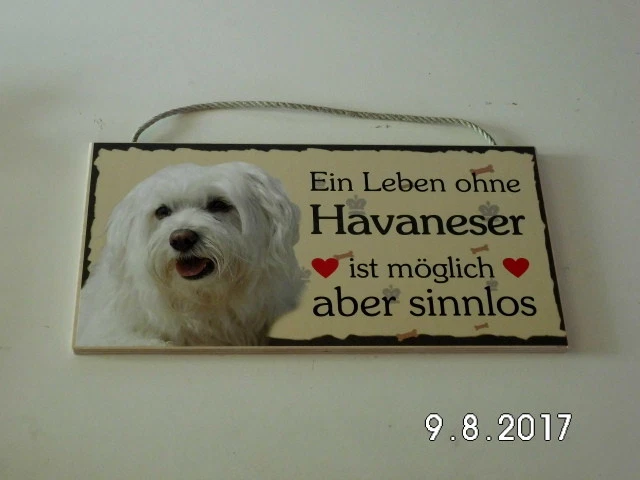 Türschild Havaneser, Tierschild Hund aus Holz, Holzschild, deutsche Herstellung - Bild 1 von 1