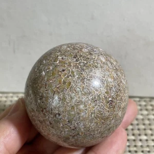 170g Top! Espécimen de hueso de dinosaurio pulido natural Madagascar h1 - Imagen 1 de 10