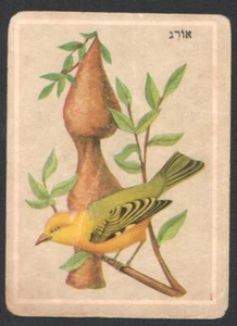 Ploceidae card From Israeli Animals Cards Set, By Tamar 1960's judica - Picture 1 of 2