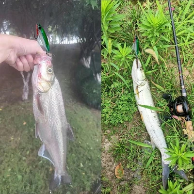 5-teiliges Angelköder-Set Für Hochseeangeln Schleppangeln Vom Boot J5J2 - Bild 1 von 4