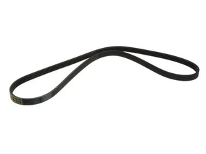 For 2019-2024 Audi A7 Sportback Multi Rib Belt 12252GHWC 2020 2021 2022 2023 - Picture 1 of 2