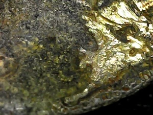 LOOK!!! *GOLD***MINTING ERROR W/ GOLD-1999-Missing clad layer-DDR&O +Die crack - Picture 1 of 24