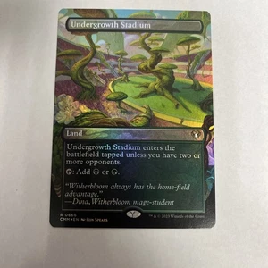 Undergrowth Stadium Borderless Foil MTG - Picture 1 of 10