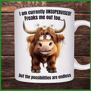 FUNNY HIGHLAND COW 11oz Ceramic Mug for any Occasion - Picture 1 of 3
