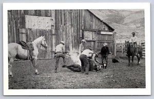 Reno, NV Postkarte - Cowboys brandmarken Vieh auf Ranch - Bild 1 von 2