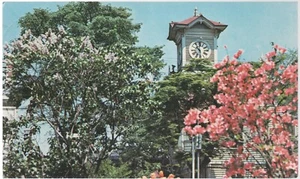 Postcard Cherry Blossoms, Tower Sapporo Hokkaido Japan 1971 Used Vintage - Picture 1 of 1