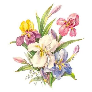 Blumen Iris B Überglasur Keramik Aufkleber - Bild 1 von 6