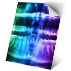 1 x Vinyl Sticker A2 - Dental Teeth X-Ray Dentist Dental #21454