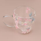 Creative Double Wall Glass Cup Dried Flower Filler Glass Cups Tea Coffee Cups h