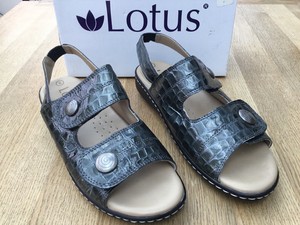 lotus carrara sandals