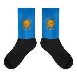 Capharnaum County Magicians Society Socks Bellairs Fan Art Barnavelt - Picture 1 of 4