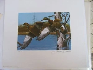 NH-2   1984   New Hampshire  State Duck Stamp Print   OFFER  #NH2CT1DSS - Picture 1 of 1