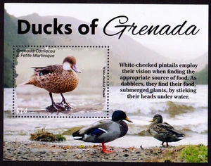 GRENADA CARRIACOU & PETITE MARTINIQUE 2022 DUCKS OF GRENADA / BIRDS MIN/SHT MNH - Picture 1 of 4