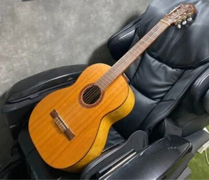 Di Giorgio Classico No.30 klassische Akustikgitarre Made in Brazil 1974 natur - Bild 1 von 20