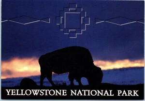 Carte postale Buffle (bison) au coucher du soleil parc national de Yellowstone - Photo 1/2