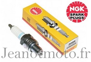 Bougie d'allumage neuve Ngk CR8HSA - Photo 1/1
