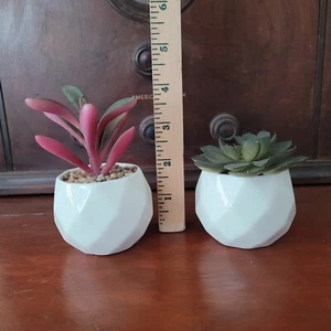 2 Artificial Mini Succulent Plants Fake In Pots For Shelves Desks - Picture 1 of 5