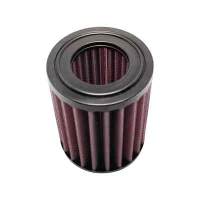 Filtros ADN Triumph Speed 400 / Scrambler 400 2024 - Filtro de aire Foto 1 de 4