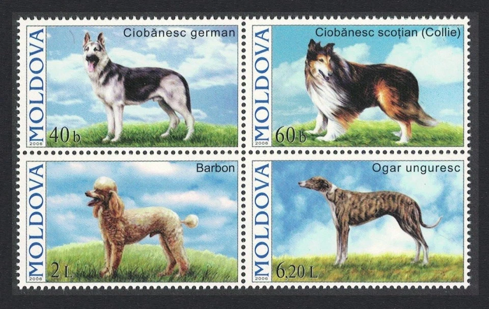 Moldova Dogs 4v bloque de 4 2006 MNH SG#557-560 Foto 1 de 1