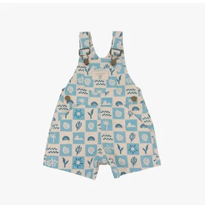 Wild Wawa Summer Blue Check Overall Shorts Size 12-24 Months Cotton - Picture 1 of 8
