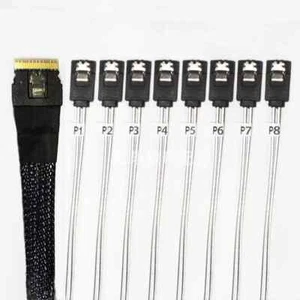 8654 8i to 8 x SATA 3.0 cable 100mm - Afbeelding 1 van 2