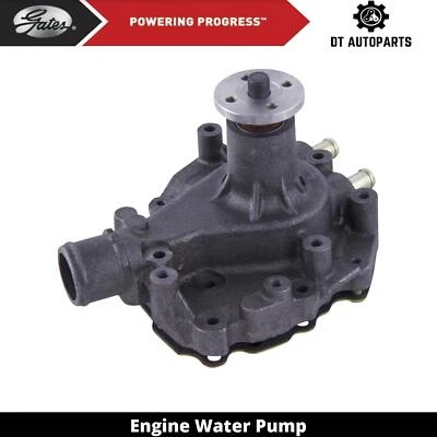 Puertas de bomba de agua para motor Ford LTD 1970 5,8 L V8 de gasolina Foto 1 de 4