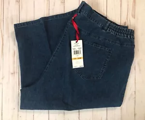 Nuevo con etiquetas Ruby Rd. Mujer Capri Batik Chic Color Índigo Talla 24W Dillard's Elástico - Imagen 1 de 7