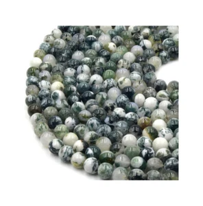 Sachet de 20 perles 4 mm rondes lisses percées Agate Arbre - Imagen 1 de 1