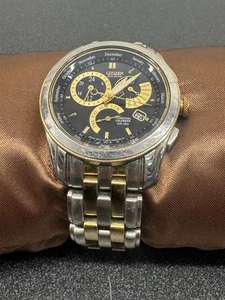 Reloj Citizen Calendario Perpetuo E870-S015294 - Imagen 1 de 14