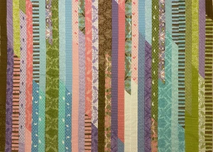 OOP Tula Pink FULL MOON FOREST Original Jelly Roll Quilt Top Moda 48"x66" - Picture 1 of 12