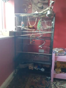 Large Bird Cage - Picture 1 of 1