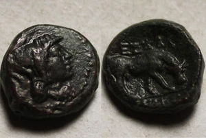 Rare genuine Ancient Greek coin Macedonia Pella Athena bull grazing - Picture 1 of 4