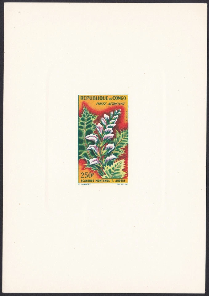 Congo ScC9 Plant, Mountain acanthus, Deluxe Proof - Image 1 of 1