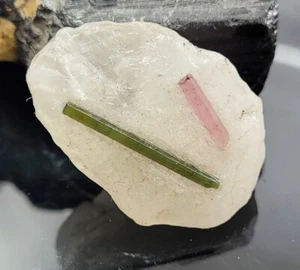 63.80 Ct Natural Tourmaline Pencil On White Quartz Beautiful Tourmaline Rough - Picture 1 of 5