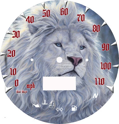 Placa frontal Suzuki Boulevard C50 TheHunt 2005-2009 (MPH o KM/H)  Foto 1 de 2