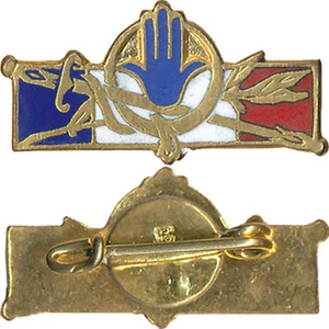 Forces Françaises en Afrique du Nord, en réduction, épingle, Poinçon A.B. (2687) - Imagen 1 de 1