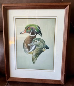 Meline Duck Drucke mattiert und gerahmt (12,75”x15,75”) - Bild 1 von 4