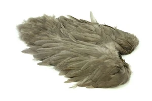 Gallo de Whiting Farms Soft Hackle Chickabou - Imagen 1 de 55