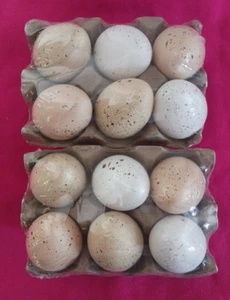 Neu Brightstar Deko Eierfüllung Neutral Realistisch Kunststoff 12 Stück - Bild 1 von 7