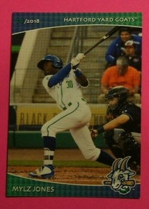 2018 Grandstand, Hartford Yard Goats - MYLZ JONES