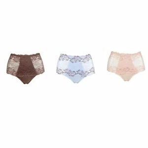 Rhonda Shear Lace Overlay Pin-Up Brief 3-Pk-583518-Soft Romance-Large-NEW - Picture 1 of 2