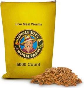 Uncle Jim's LIVE Meal Worms - Picture 1 of 6