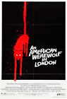 395746 An American Werewolf In London Movie Griffin Dunne Wall Print Poster De