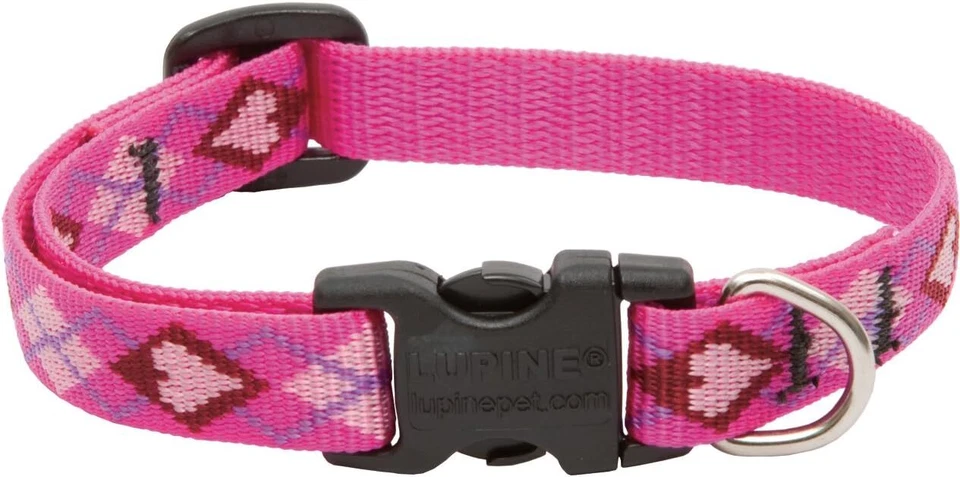 LupinePet Originals 1/2" Puppy Love 10-16" Adjustable Collar for Small Dogs - Image 1 of 1