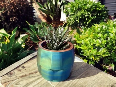 Macetas auto-riego plantas de interior con cámara de aireación que los amantes de las plantas deben tener Foto 1 de 4