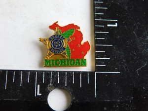 PIN DE LA DIVISIÓN DE MICHIGAN DEL SERVICIO SECRETO DE LOS ESTADOS UNIDOS - Imagen 1 de 2