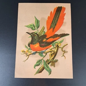 Victorian Trade Card MAGIC YEAST CAKES E.W. Gillett Chicago Illinois (Large) - Picture 1 of 3