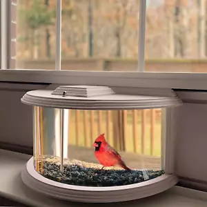 Window Bird Feeder - 180° Clear View, Fits Windows 27-35" Wide - Picture 1 of 12